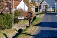 Wellnes