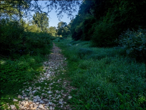 Duna-kiszáradás