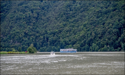 Donau Schlingen