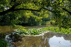 Hluboka nad Vltava