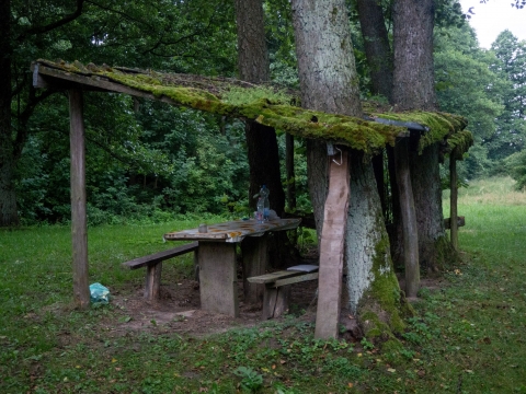 Nomád