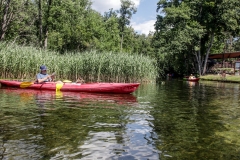 A kutyás