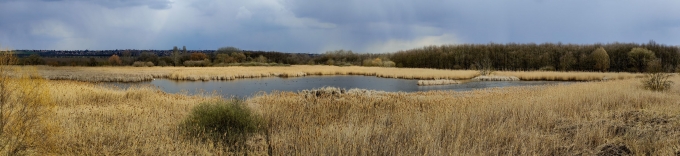 2021-03-17-12.19.49-Pano