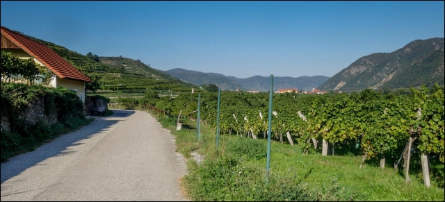 Wachau