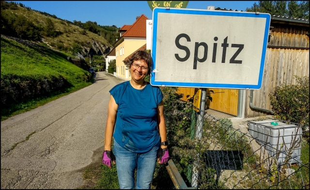 Spitz