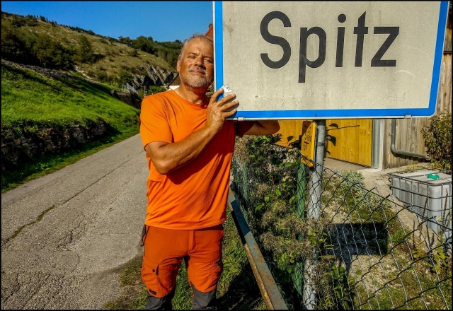 Spitz