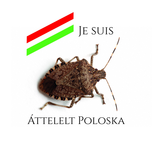 poloska